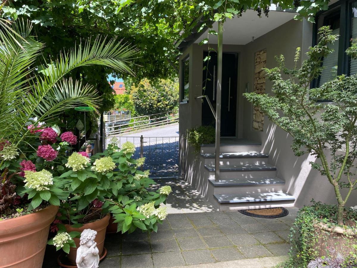 Ferienwohnung Pantone Ultra Dossenheim Exterior foto